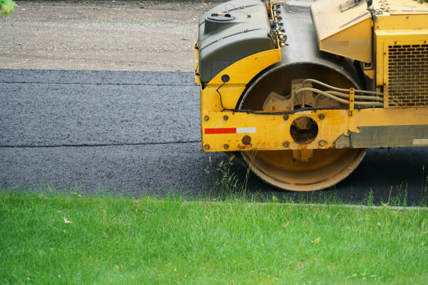 Best Decorative Driveway Pavers  in Nocatee, FL
