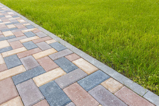 Best Driveway Paving Near Me  in Nocatee, FL